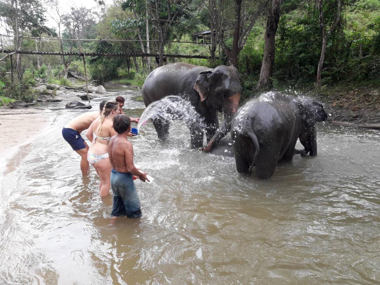 チエンマイ Keta' Jungle Trek Houseホステル エクステリア 写真